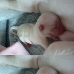 이름좀 .......사진있어요++