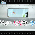 태우랑 나르샤 이야기