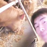 토익 900점인 농부이야기