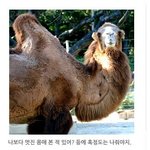 동물들의 자뻑!ㅋ ㅋㅋㅋ