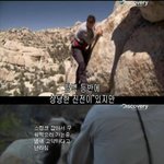 먹이<b>사슬</b>의 정점(사진有)