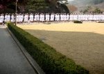 제2의 나이팅게일을 꿈꾸는 분들께!  (사진有)