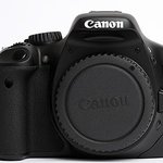 <b>호동</b>이데리고~ 550d 들고~ 애견카페 가다!