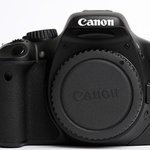 애견카페다녀왔어요~~ <b>호동</b>이와 550d의 만남 ㅋㅋㅋ