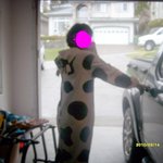 학교에 젖소잠옷입구 갔다 집에 걸어왔어요! (사진)