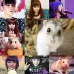 <b>2ne1</b> 동물설 ㅋㅋㅋㅋㅋㅋㅋㅋㅋㅋㅋ