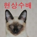 현상수배