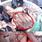 이거 이거... 병아리떡찜인가요?