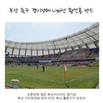 부산 축구경기장에 나타난 <b>황선홍</b>밴드