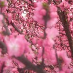 <b>악마</b>의유혹