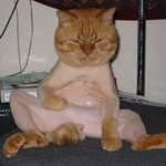 <b>레어</b>누드 사진뿌림
