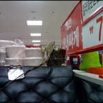 <b>xx</b>마트 이구아나 탈출 사건 ㅋㅋㅋ