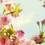 개인의 취향! 버라이어티한 <b>슬립</b>온프린트의 세계