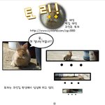 <b>토리</b>토리_01 엽기토끼는 잊어라 ㅋ