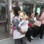 <b>개업</b>고 다니는 분을 보신분 있으신가요?