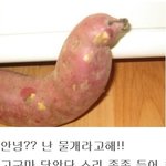 혼자 살지 마시오~~~~
