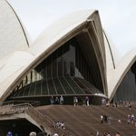 호주에서의 황당한 경험.