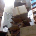 세상에서 가~장 비싸고 맛있는사과 (사진有)