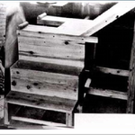 정신대할머니들을위해