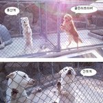 전 회사에서 개똥치우는 뇨자에요^^