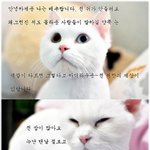 얼짱<b>배추</b>~
