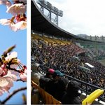 나들이의 계절, 셀러브<b>리티</b>가 되는 이벤트!!