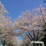 92세 우리할머니를 소개합니다!^_^*(사진有)