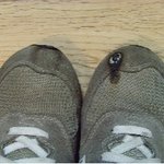 사진有 고신의 <b>명복</b>을 빌어주세요ㅠ.ㅠ