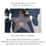 <b>러셀</b>크로우 할리우드 명예의 거리 당당히 입성