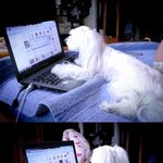 [사진有] 우리막내 엽기적인그녀 <b>내사</b>랑순순이,ㅋ