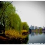 empire state <b>of</b> mind(ill san.ver)