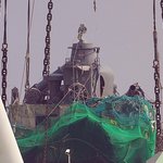 죄송합니다..살아돌아와서...