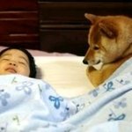 내가 너 크는 <b>재미</b>로 산다
