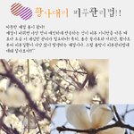 봄철 꽃가루와 황사<b>대비</b> 피부관리법을 알아보자!