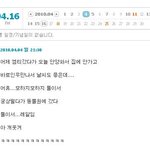 솔로 여자 두분이서 대공원 갔다는글 보고!!