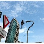 <b>가로등</b>에 매달린채로 촬영하는 신애; 무서워ㅠ