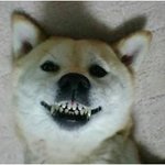 <b>헌팅</b> !!!!