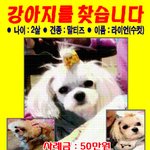 <b>평택</b>에서(남)찾습니다