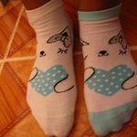 [사진有] 내양말의 실체는?!