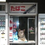 일본은 <b>개들</b>이 알바를해