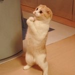 내일 중간<b>고사</b> 보는사람!!