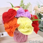 카네이션 화분만들기(<b>요플레</b>통으로)