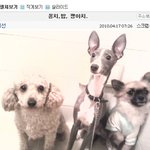 구혜선네 애견들, <b>작명</b> 센스에 빵 터짐ㅋㅋ