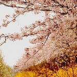 곧입대하는 남자둘이서 1박2일여행다녀왔습니다.