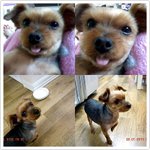 ㅋ. 안산사는 <b>나사</b>입니다.