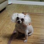 제발좀 봐주세요