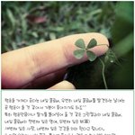 어떤 컬러를 좋아하세요? 싱그러운 그린 프<b>로럴</b>~