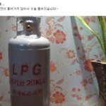 저금통 <b>개봉</b>! 540만원! 대박