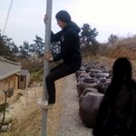 여러분 <b>포샵</b>좀 해주세요 ㅎ