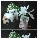 <b>캣맘</b>의 사회적 역할!